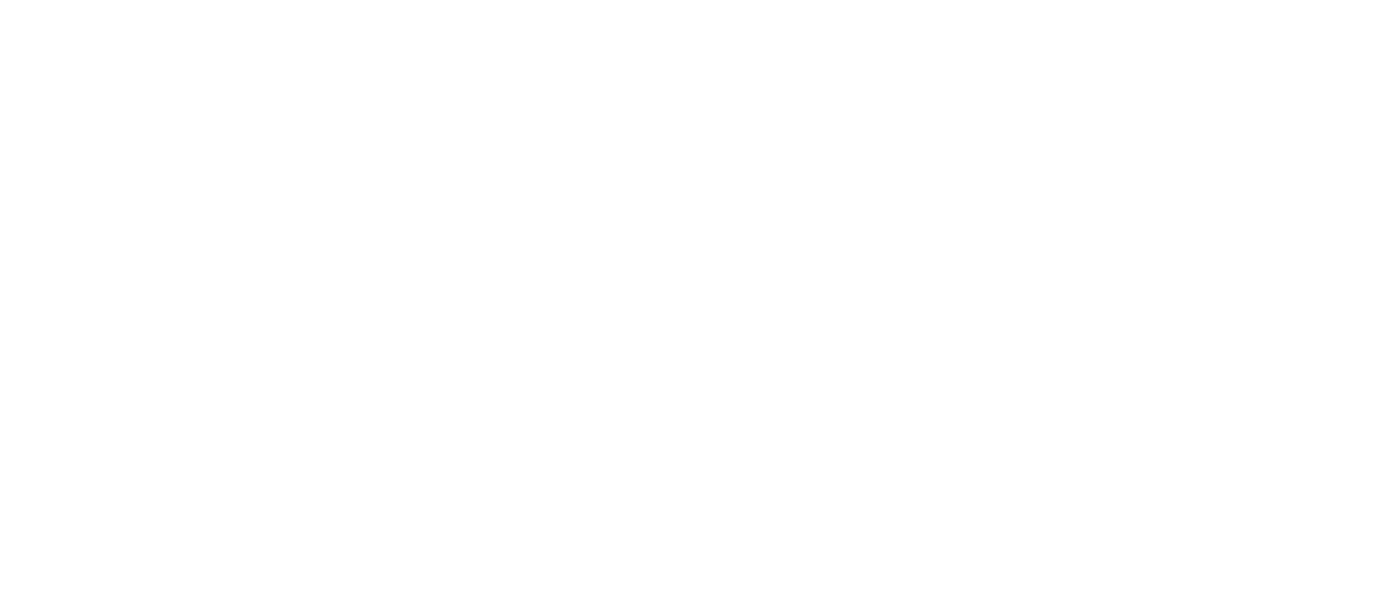 Pythonic_logo horizontal-white