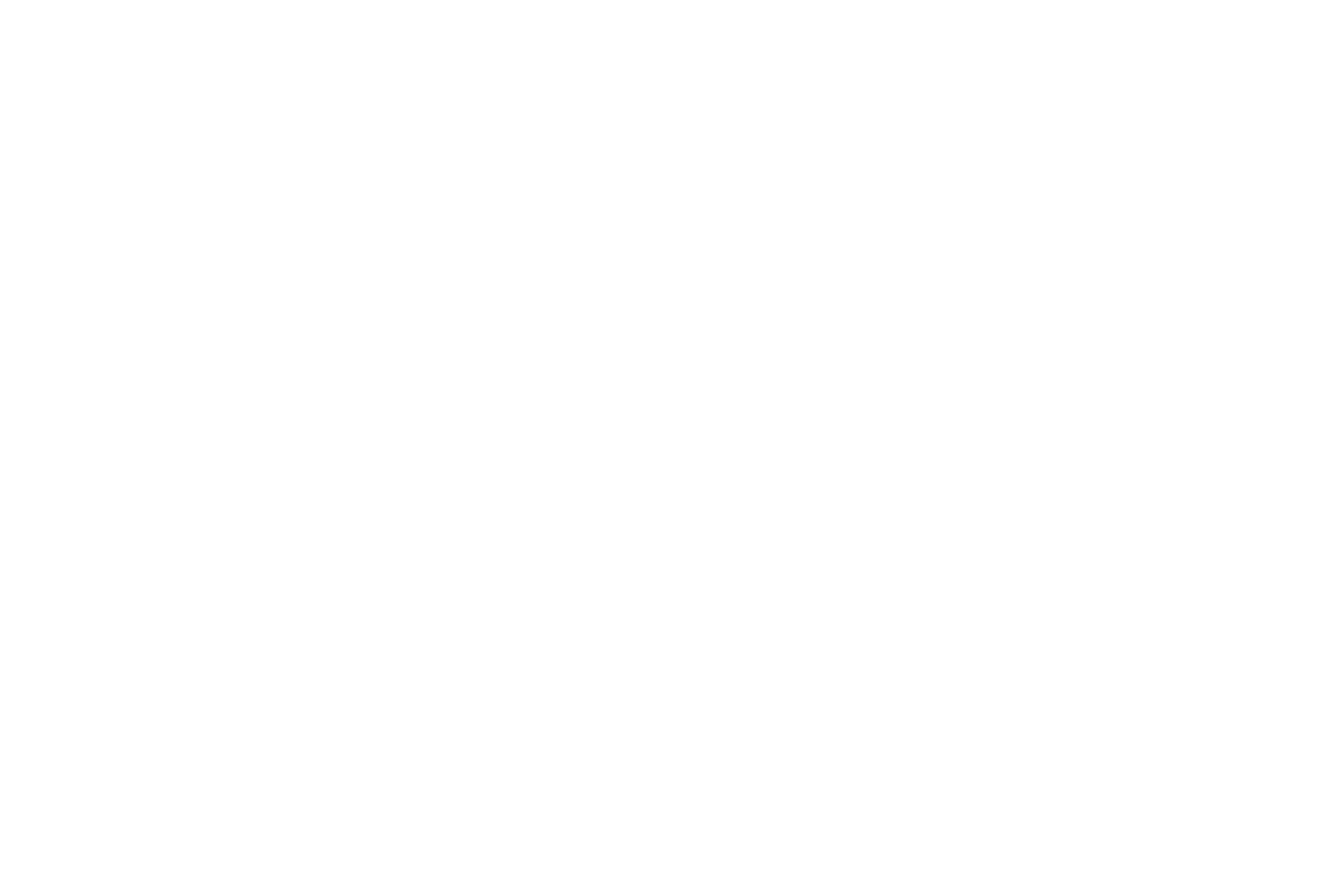Pythonic_logo_white